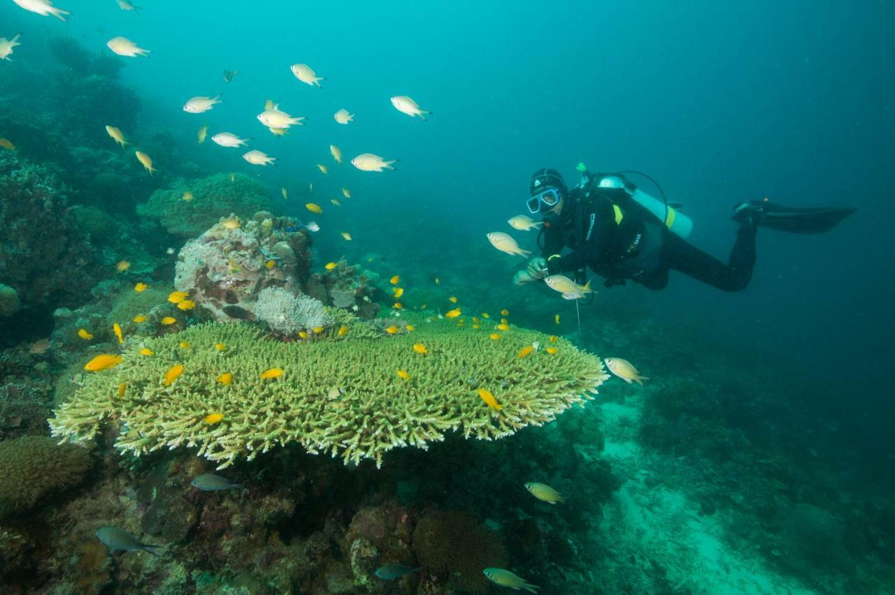 Magic Oceans Dive Resort Anda  Ngoại thất bức ảnh